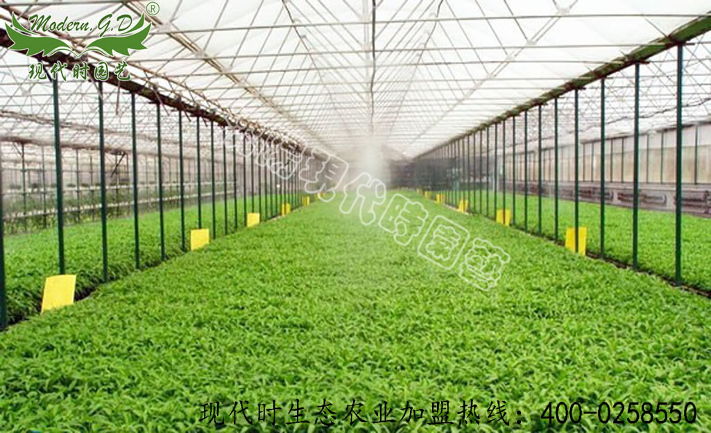 �Ԅӹ�(ji��)ˮ���